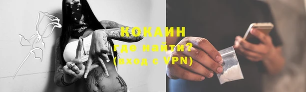 дживик Липки