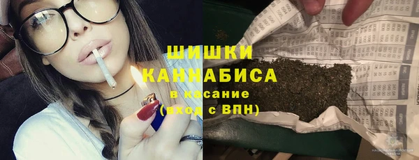 дживик Липки