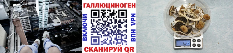 Псилоцибиновые грибы Magic Shrooms  Чегем 